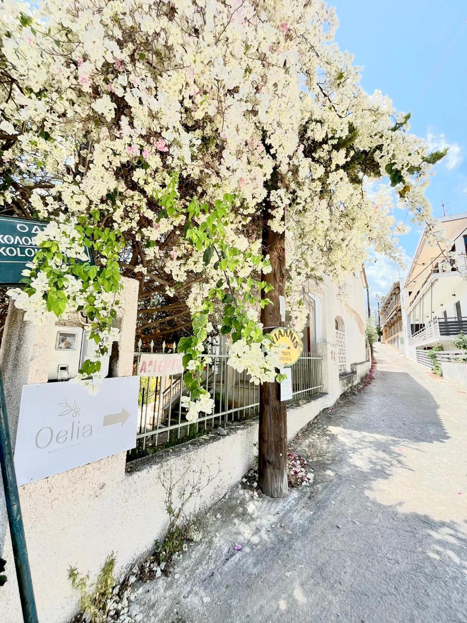 Oelia Rooms & Apartments Αγία Μαρίνα Εξωτερικό φωτογραφία